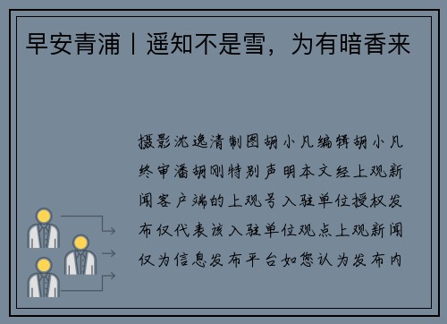 早安青浦丨遥知不是雪，为有暗香来