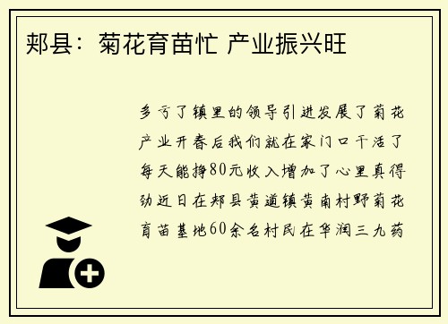 郏县：菊花育苗忙 产业振兴旺