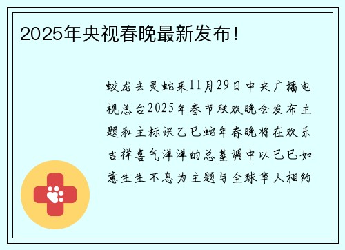 2025年央视春晚最新发布！