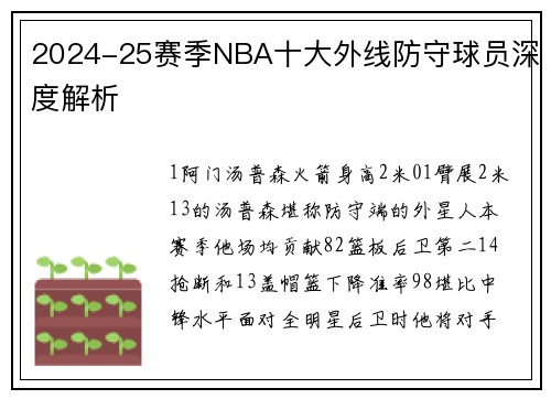 2024-25赛季NBA十大外线防守球员深度解析