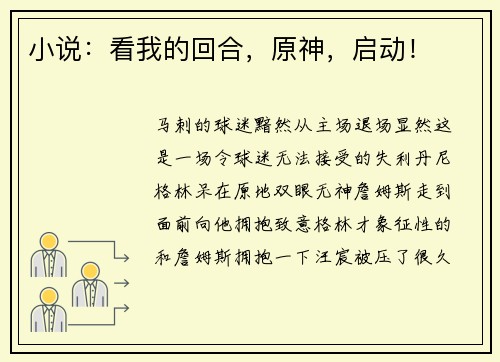 小说：看我的回合，原神，启动！
